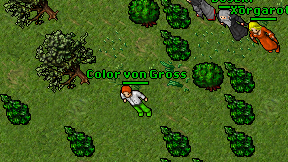 Color von Gross on screen