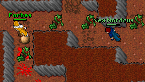 Nex Nordcus on screen