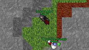 Nagasht on screen