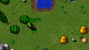Heinerin on screen