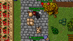 Nemeriaz on screen