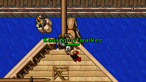 Kaos Spiritwalker on screen