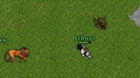 Izbosz on screen