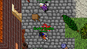 Gate Galla on screen