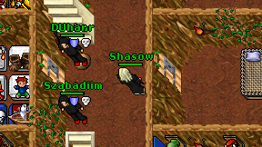 Shasow on screen