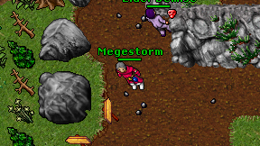 Megestorm on screen