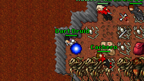 Dart Druid on screen