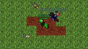 Bulaj on screen
