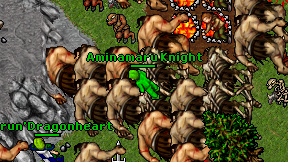 Aminamaru Knight on screen