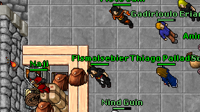Flsmalsebier on screen