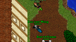 Kocjan'Wing on screen