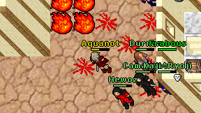 Aquanot on screen