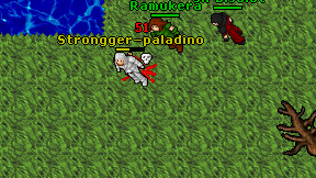 Strongger-paladino on screen