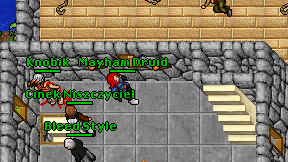 Mayham Druid on screen