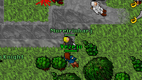 Moreirinharj on screen