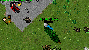 Joak Stra on screen