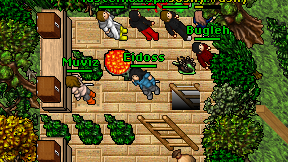 Eidoss on screen