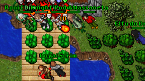 Royal Scrim on screen