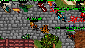 Graczek on screen
