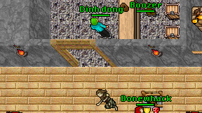 Dinh dong on screen