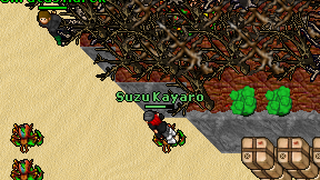 Suzu Kayaro on screen