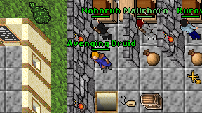 Avenging Druid on screen