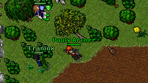 Pauly Archer on screen