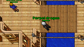 Porpel dragon on screen