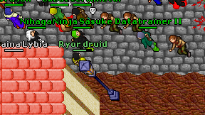 Ryor druid on screen