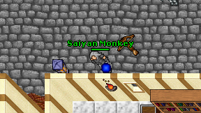Saiyan Monkey on screen