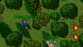 Axiom Knecht on screen