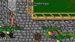 Rigotapu on screen