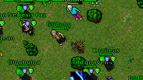 Glidong on screen