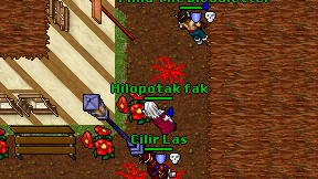Hilopotak fak on screen
