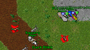 Squaro on screen