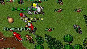 Tiger Hero on screen