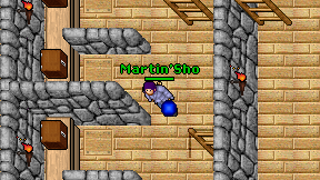 Martin'Sho on screen
