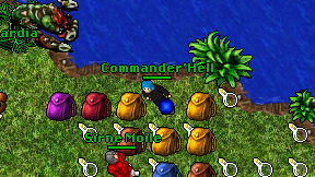 Commander'Hell on screen