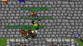 Eternal Robliwion on screen