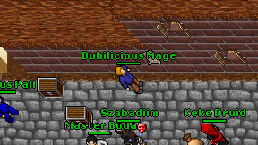 Bubilicious Mage on screen