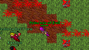 Princess uf Evil on screen