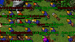Katataus on screen