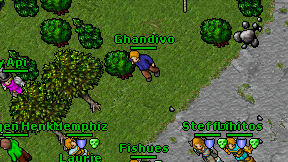 Ghandivo on screen