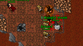 Knight Hawk on screen