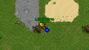 Lili Storm on screen