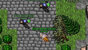 Gre Asessin on screen