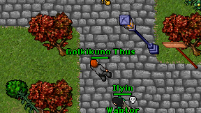 Golkikuno Thus on screen