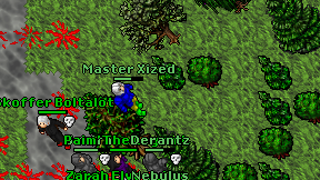 Master Xized on screen