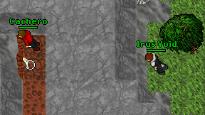 Irus Void on screen