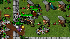Gabaxo on screen